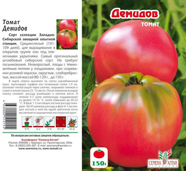 Лучшие сорта сибири томатов: посадка и уход