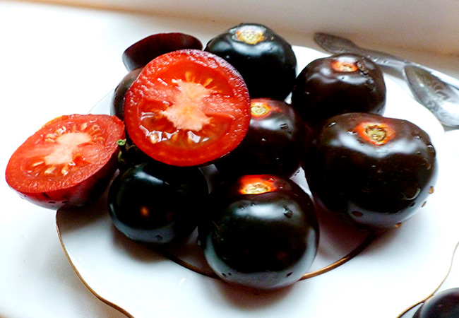 Семена черных помидор томск семена томатов