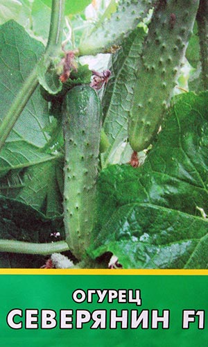 Огурцы Какие сорта выращивать в теплице из поликарбоната?