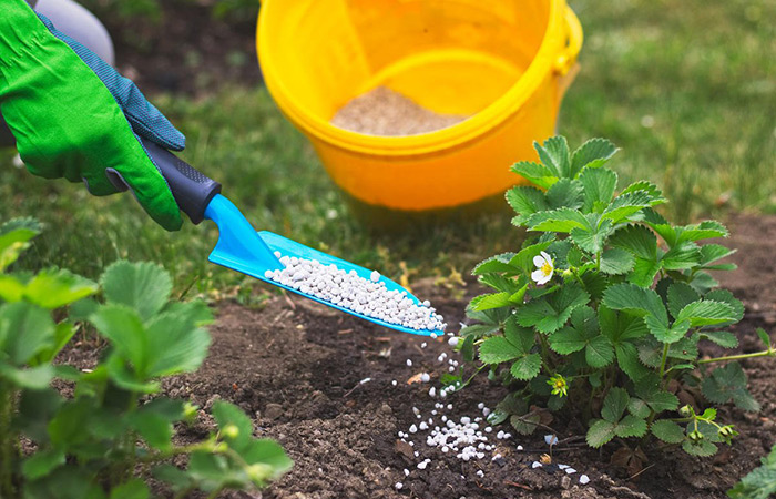 Калийная селитра – полезные свойства для растений и применение удобрений на огороде